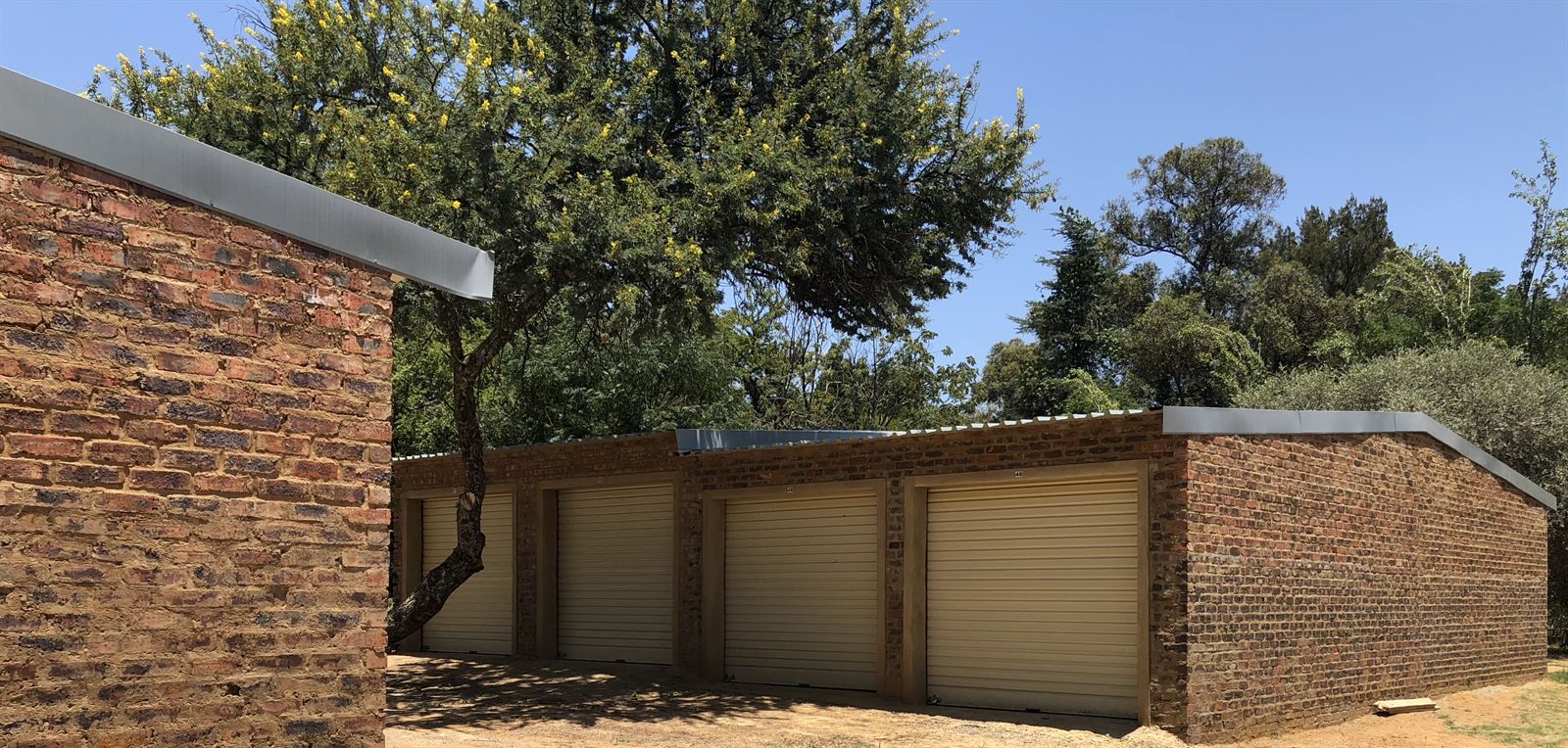 Corner block of storage garages shaded by a flowering tree