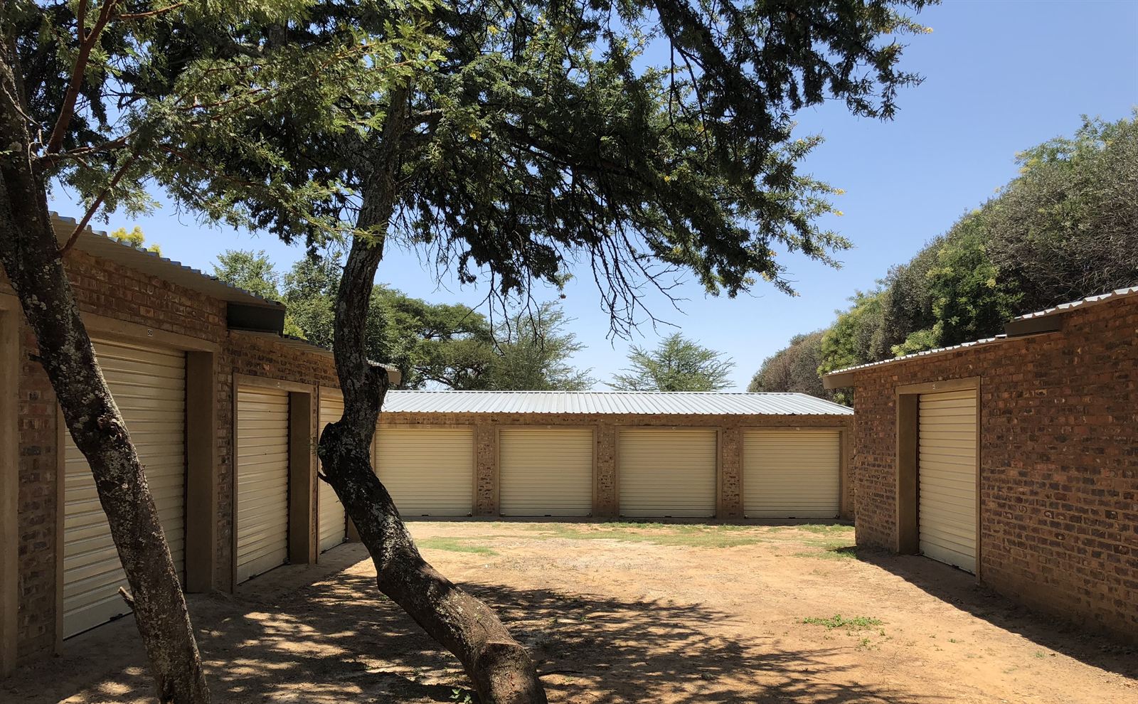 Courtyard between two blocks of storage garages with a thorn tree in the middle