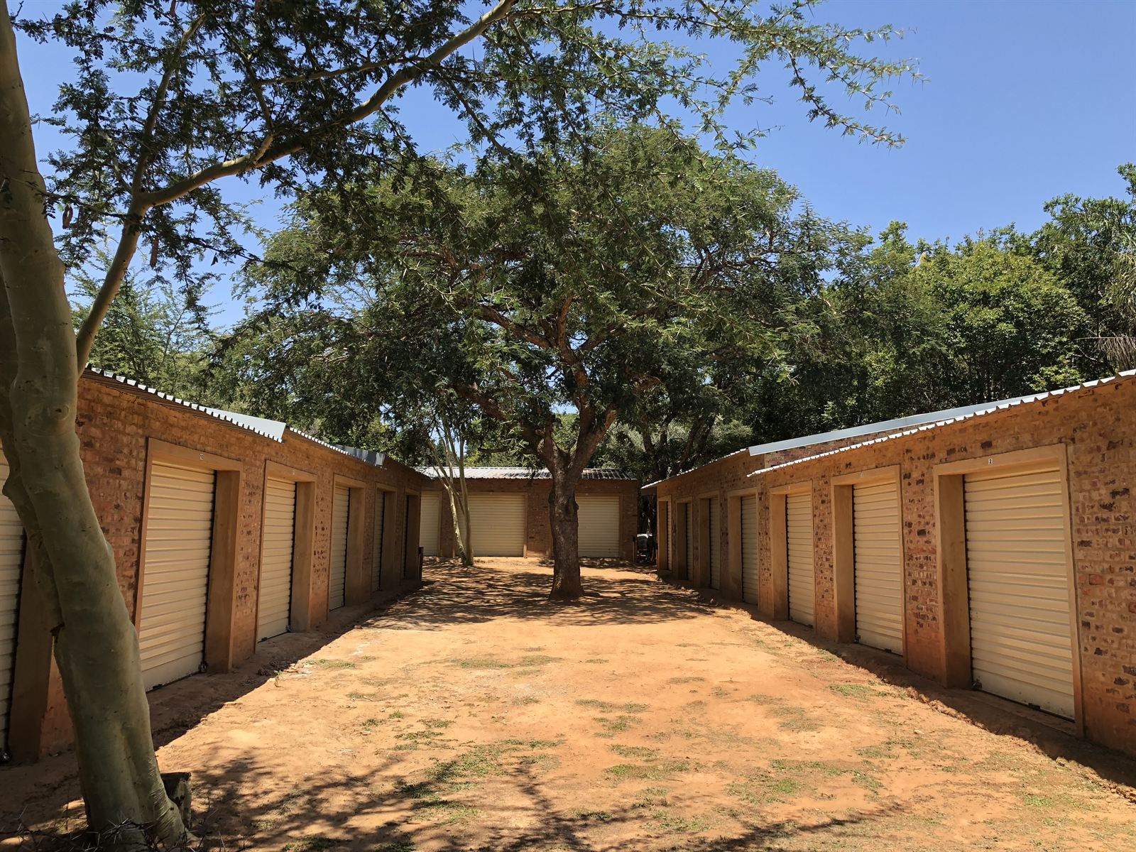 An avenue of brick storage garages with cream roller doors under a large thorn tree