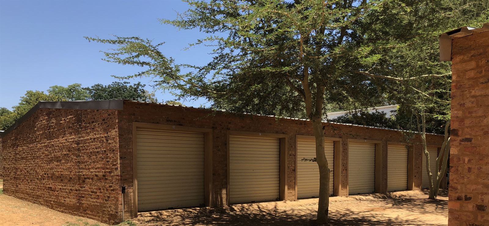 Long row of face-brick storage garages beneath thorn trees